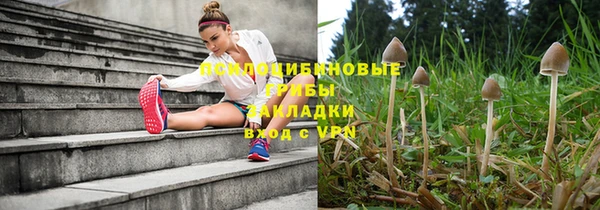 МДПВ Абаза