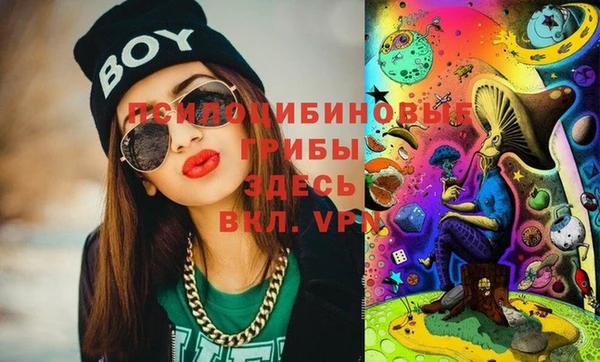 МДПВ Абаза