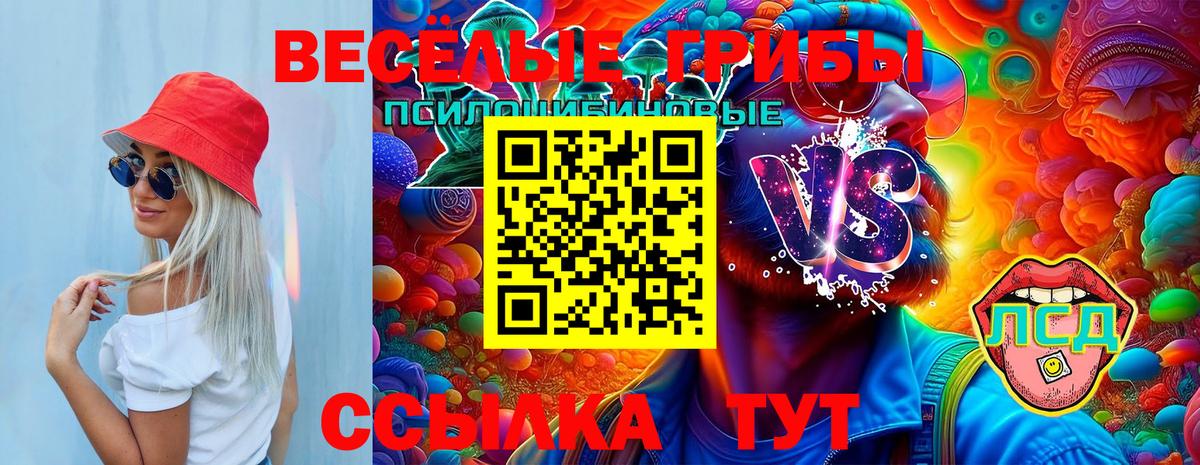 Оренбург  Галлюциногенные грибы Psilocybe  Вход с VPN 