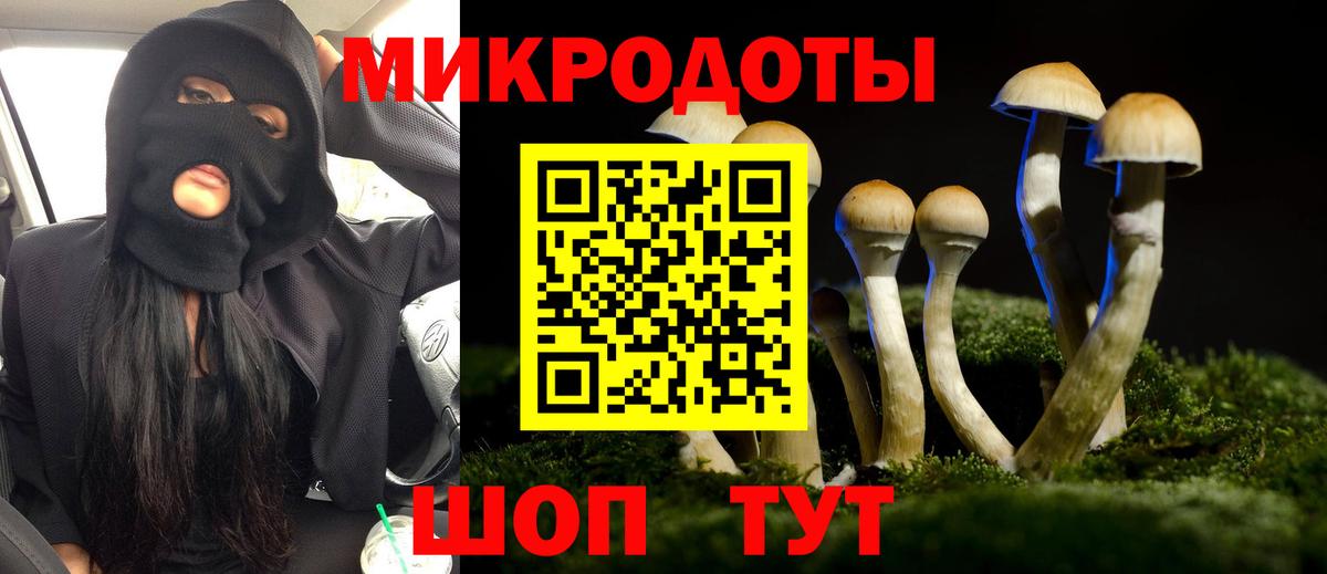 Псилоцибиновые грибы GOLDEN TEACHER Оренбург